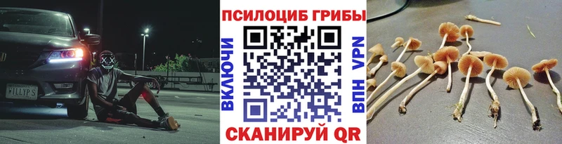 Псилоцибиновые грибы прущие грибы Власиха